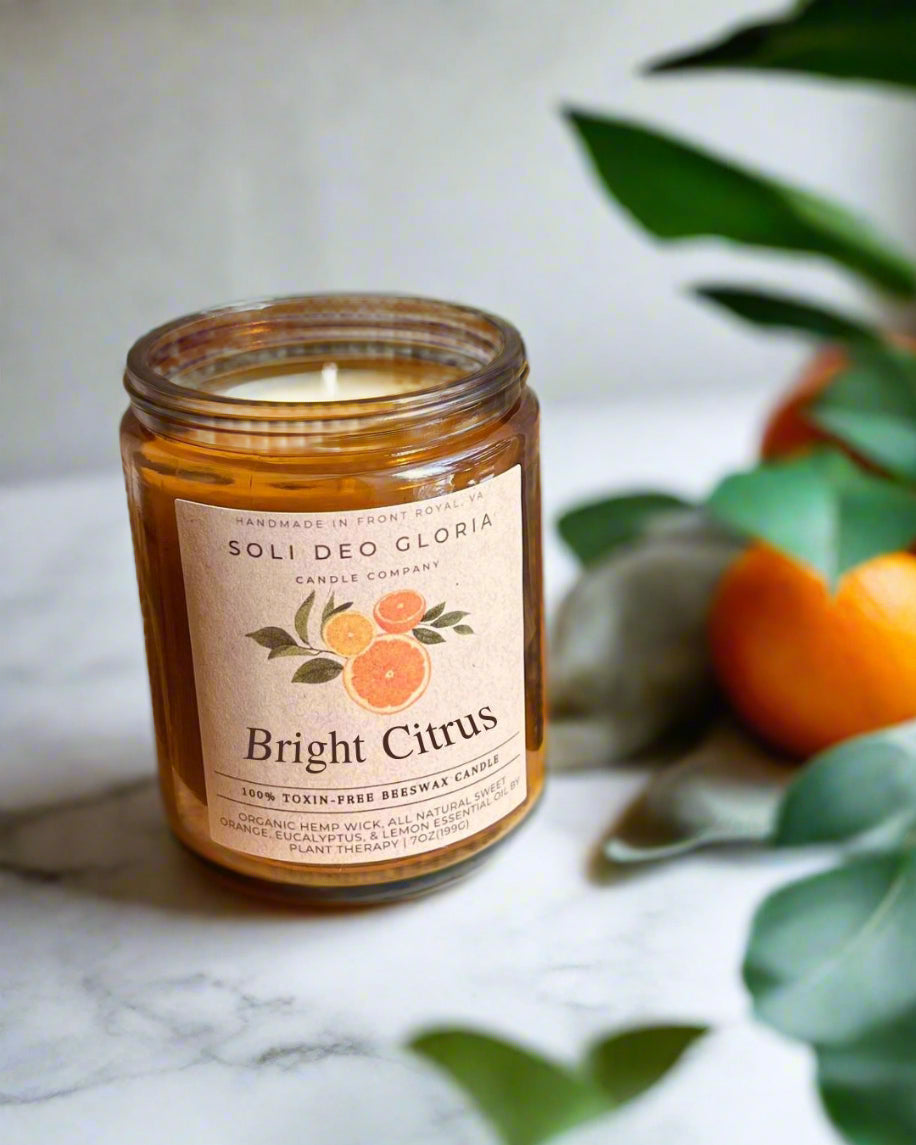 Cozy Classics Bundle | Hand-Poured 100% Beeswax Candle Gift Set