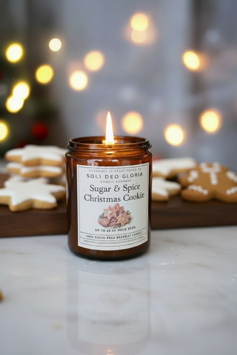 Winter Candle Bundle | 3 Pack