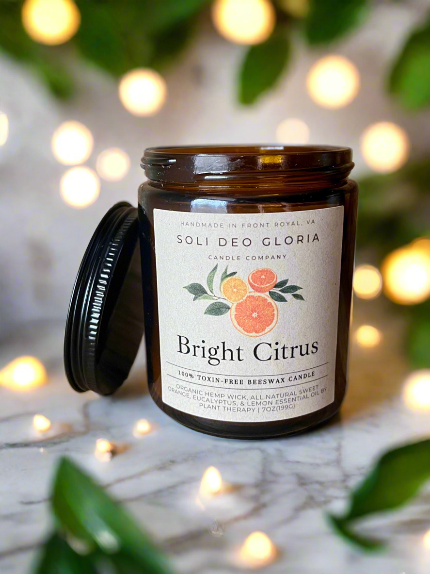 Cozy Classics Bundle | Hand-Poured 100% Beeswax Candle Gift Set