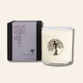 Black Currant Tea Lotion Candle