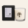 Black Mountain Lotion Candle