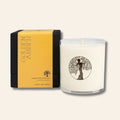Golden Amber Lotion Candle